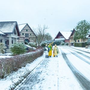 20260104 112736 W72 7259 850px