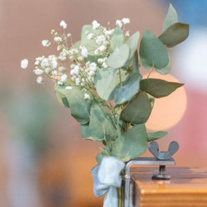 20260412 102113 W85 2464 R Woehrmann D85  R Woehrmann 850px