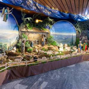 20251229_114409_W72_6689_r_woehrmann_d72_-Verbessert-RR_850px_original